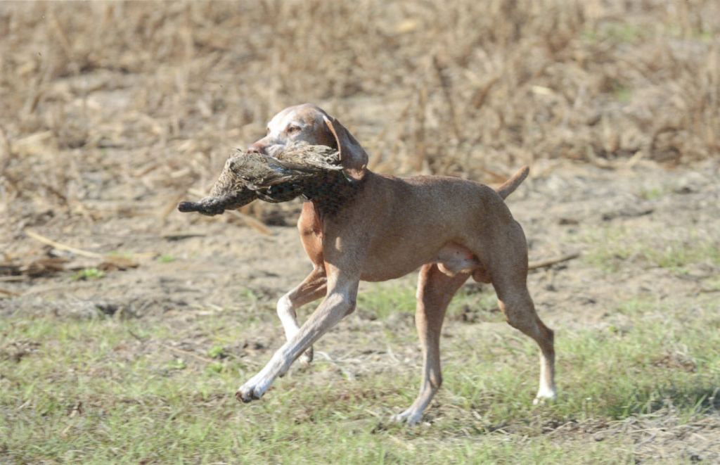 So here we&nbsp;are!!!